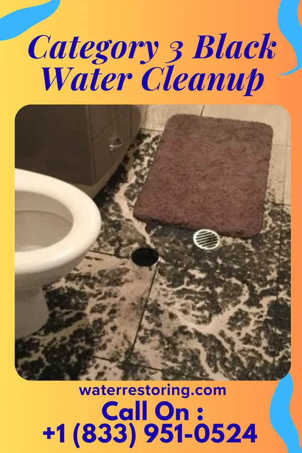 Category 3 Black Water Cleanup in Candlewood Lake, OH