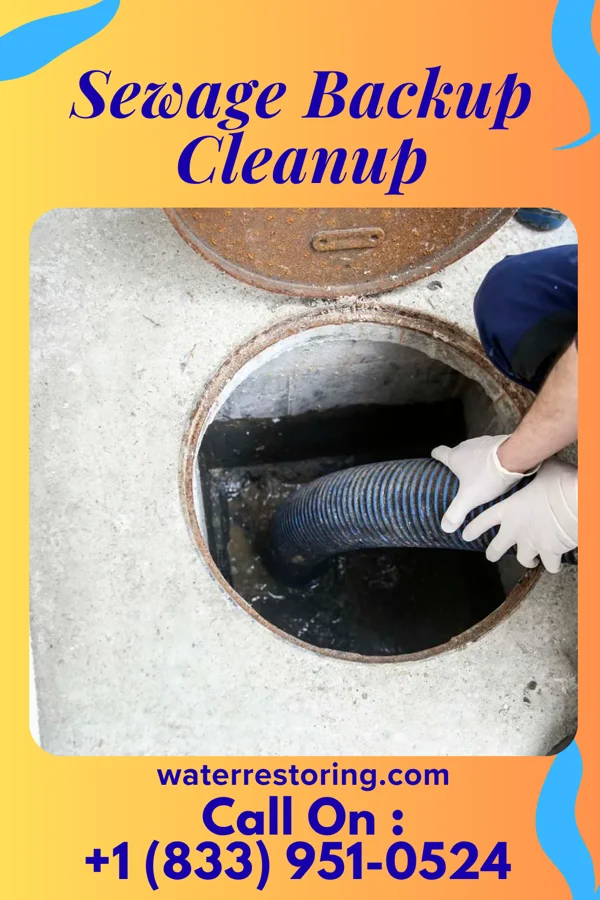 Sewage Backup Cleanup in Candlewood Lake, OH
