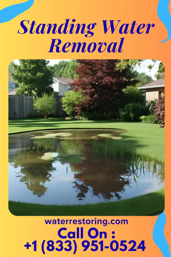 Standing Water Removal in Candlewood Lake, OH
